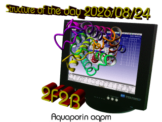 The WHAT IF / YASARA Twinset