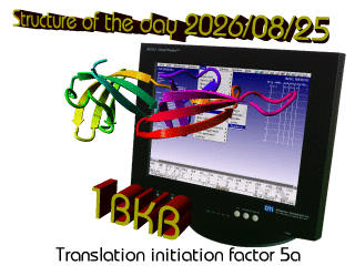 The WHAT IF / YASARA Twinset