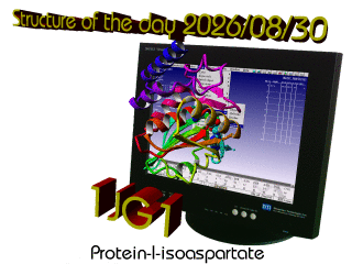 The WHAT IF / YASARA Twinset