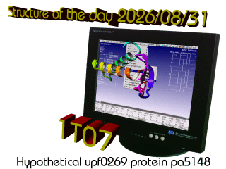 The WHAT IF / YASARA Twinset