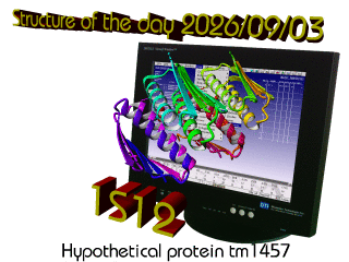 The WHAT IF / YASARA Twinset