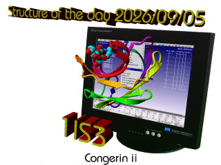 The WHAT IF / YASARA Twinset