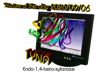 The WHAT IF / YASARA Twinset