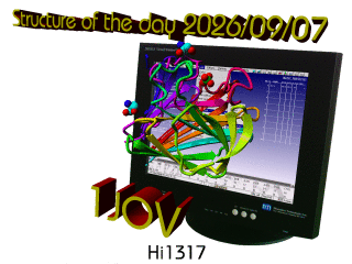The WHAT IF / YASARA Twinset