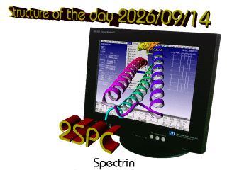 The WHAT IF / YASARA Twinset