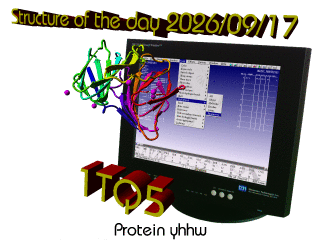 The WHAT IF / YASARA Twinset