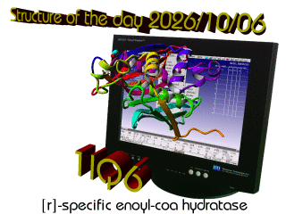 The WHAT IF / YASARA Twinset