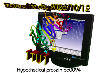The WHAT IF / YASARA Twinset