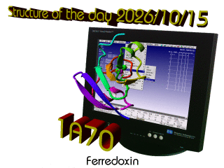 The WHAT IF / YASARA Twinset