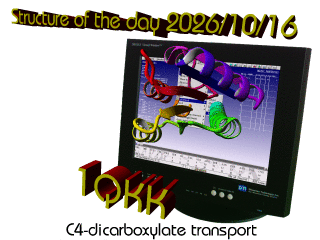 The WHAT IF / YASARA Twinset